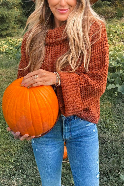 Turtleneck Chunky Knit Cozy Sweater